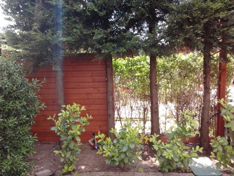 2013-05-15_14.13.26.jpg