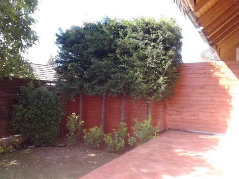 2013-05-16_09.35.58.jpg